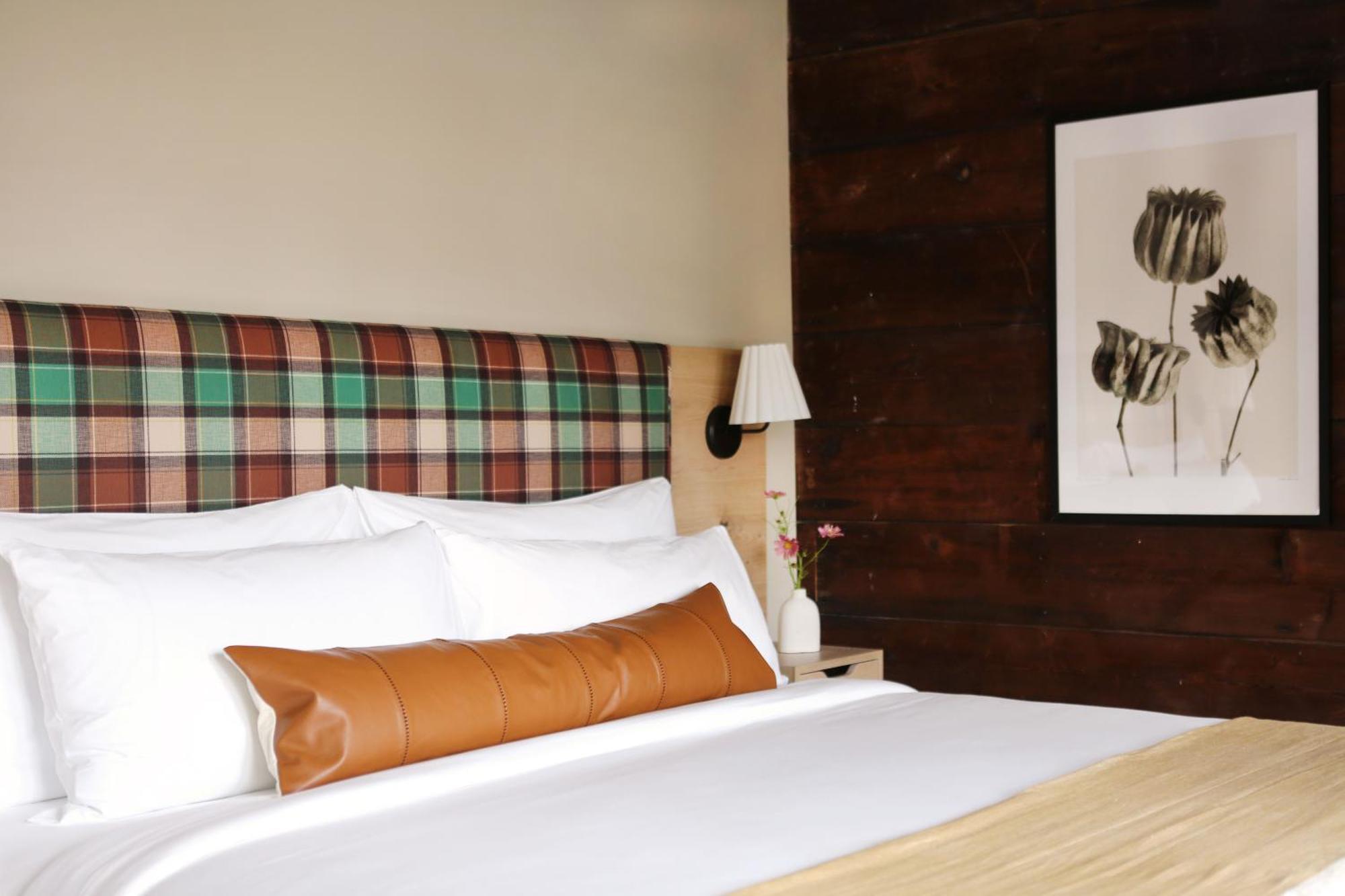 Bed and Breakfast Kingston Carriage House Екстер'єр фото